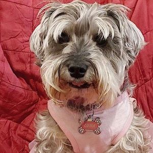 Meet your Posher, Gail